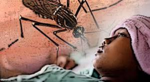 obat demam berdarah dengue